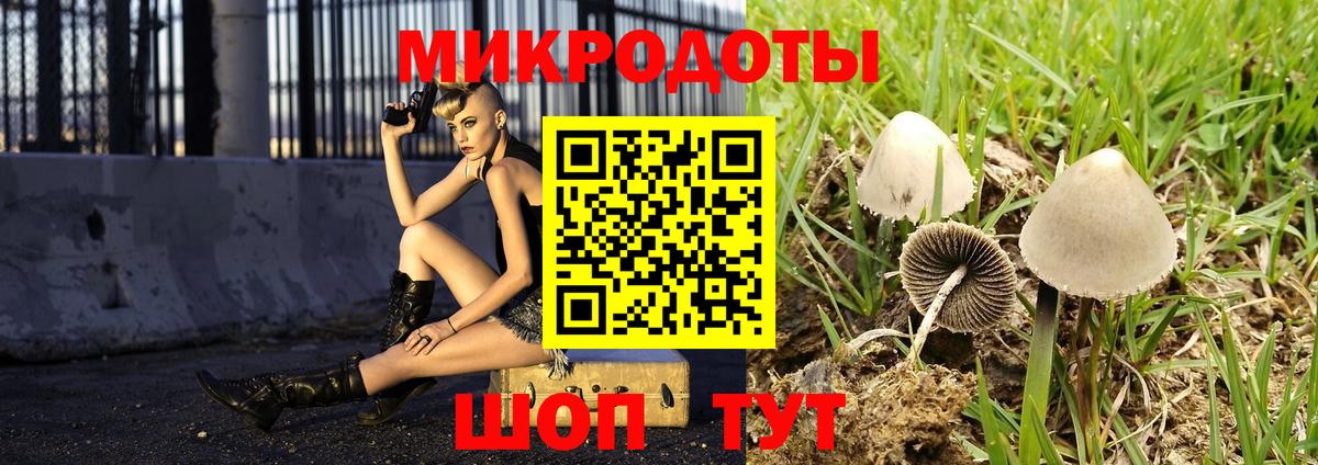 Галлюциногенные грибы прущие грибы Нижнекамск